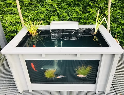 Pond Windows: A Unique View Into Your Aquatic World – redtulipsystems